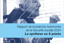 Synthese-rapport-branche.png