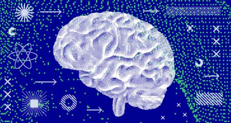 mesr-neurosciences-vignette-jpg-25849.jpg