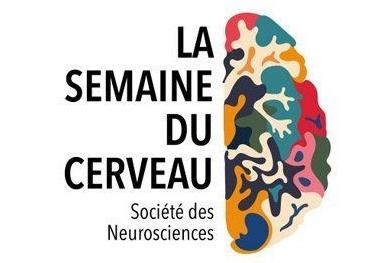 semaineducerveau2021-plargeur-edited-crop366x263.jpg