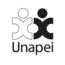 falc unapei.png