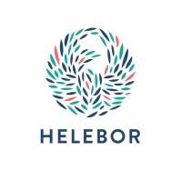 helebor.jpg