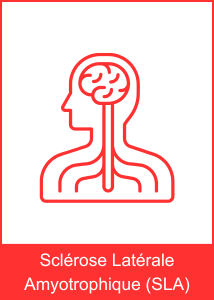 SLA
