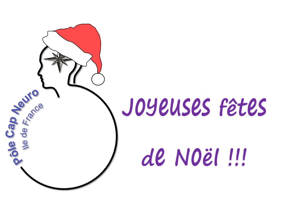 fetes de fin d'année.jpg