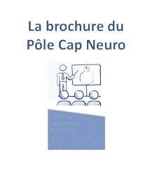 brochure-removebg-preview.png